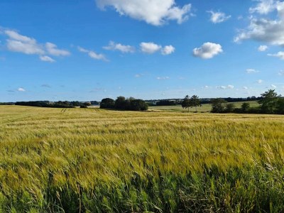 Holiday house 6 Personen Ferienhaus in Hejls-By Traum - Outdoor photo 29