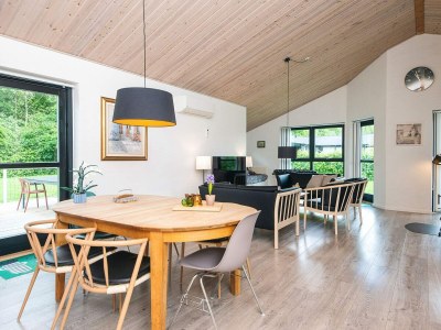 Holiday house 8 Personen Ferienhaus in Ansager-By Traum - Outdoor photo 14