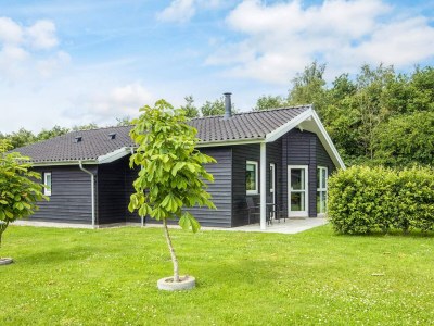 Holiday house 8 Personen Ferienhaus in Ansager-By Traum - Outdoor photo 31