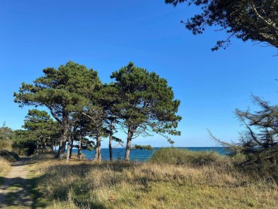Holiday house Seaside Escape in Helgenaes - By Traum Ferienwohnungen - Outdoor photo 24
