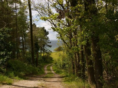 Holiday house Seaside Escape in Helgenaes - By Traum Ferienwohnungen - Outdoor photo 31