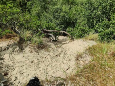 Holiday house 4 Personen Ferienhaus in Fanø-By Traum - Outdoor photo 7