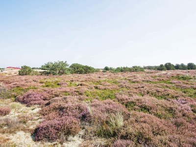 Holiday house 4 Personen Ferienhaus in Fanø-By Traum - Outdoor photo 10