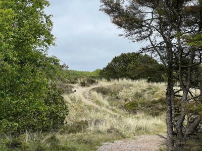 Holiday house 4 Personen Ferienhaus in Fanø-By Traum - Outdoor photo 22