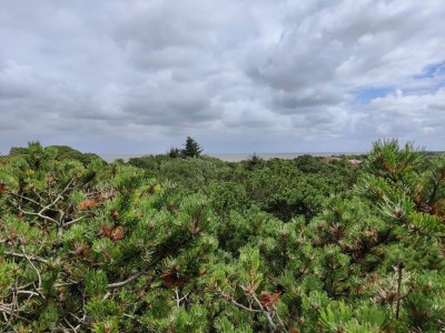 Holiday house 4 Personen Ferienhaus in Fanø-By Traum - Outdoor photo 24
