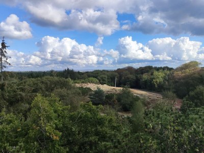 Holiday house 4 Personen Ferienhaus in Fanø-By Traum - Outdoor photo 25