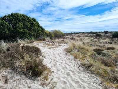 Holiday house 4 Personen Ferienhaus in Fanø-By Traum - Outdoor photo 36