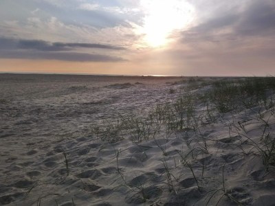 Holiday house 4 Personen Ferienhaus in Fanø-By Traum - Outdoor photo 39