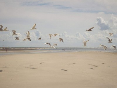 Holiday house 4 Personen Ferienhaus in Fanø-By Traum - Outdoor photo 44