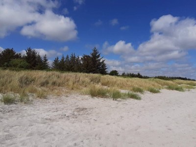 Holiday house Luxurioses Strandhaus mit Spa -- By Traum Ferienwohnungen - Outdoor photo 10