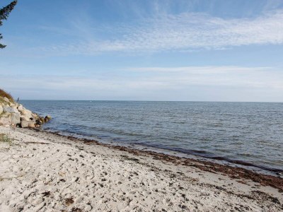 Holiday house Luxurioses Strandhaus mit Spa -- By Traum Ferienwohnungen - Outdoor photo 12