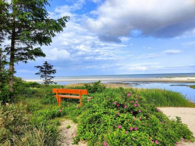 Holiday house Luxurioses Strandhaus mit Spa -- By Traum Ferienwohnungen - Outdoor photo 27
