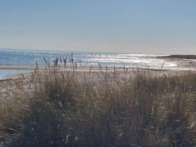 Holiday house Luxurioses Strandhaus mit Spa -- By Traum Ferienwohnungen - Outdoor photo 37