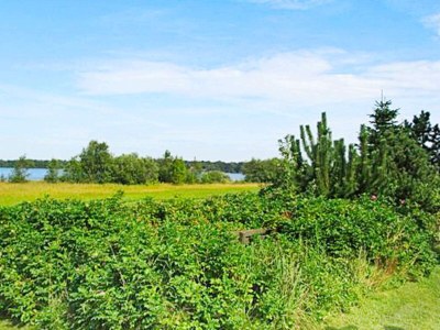 Holiday house 6 Personen Ferienhaus in Ansager-By Traum - Outdoor photo 12