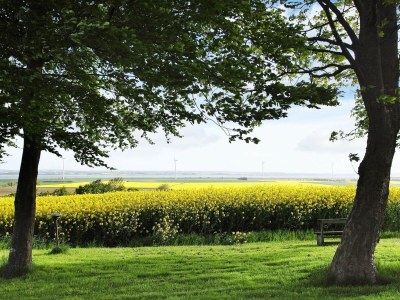 Holiday house 14 person holiday home in Løgstør-By Traum - Outdoor photo 28