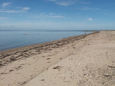 Holiday house 14 person holiday home in Løgstør-By Traum - Outdoor photo 32