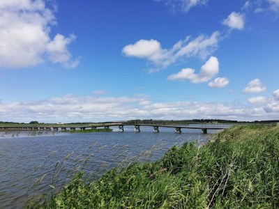 Holiday house 14 person holiday home in Løgstør-By Traum - Outdoor photo 33