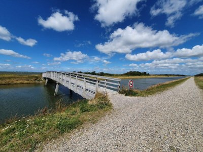 Holiday house 14 person holiday home in Løgstør-By Traum - Outdoor photo 40