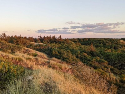 Holiday house Modernes Strandhaus -- By Traum Ferienwohnungen - Outdoor photo 23