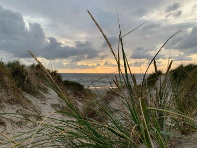 Holiday house Modernes Strandhaus -- By Traum Ferienwohnungen - Outdoor photo 26