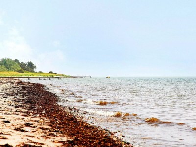 Holiday house Strandgluck mit Sauna -- By Traum Ferienwohnungen - Outdoor photo 26