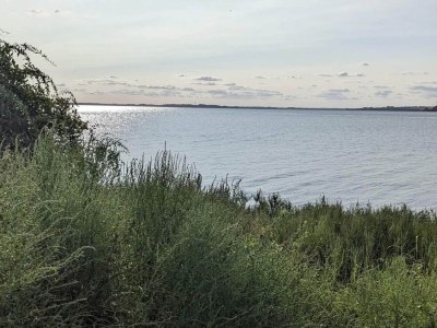 Holiday house Strandgluck mit Sauna -- By Traum Ferienwohnungen - Outdoor photo 44
