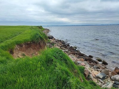 Holiday house Strandgluck mit Sauna -- By Traum Ferienwohnungen - Outdoor photo 53