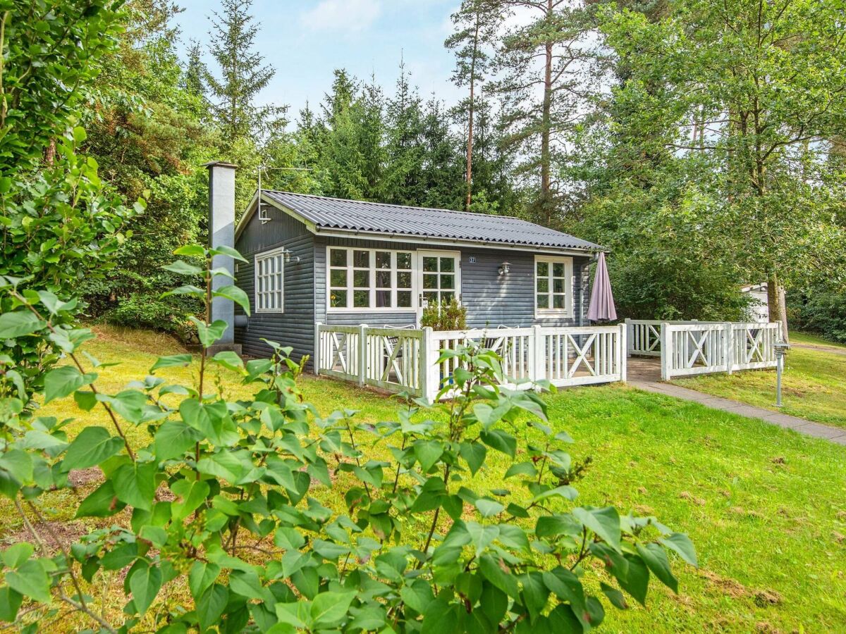 Holiday house 5 Personen Ferienhaus in Ans By-By Traum