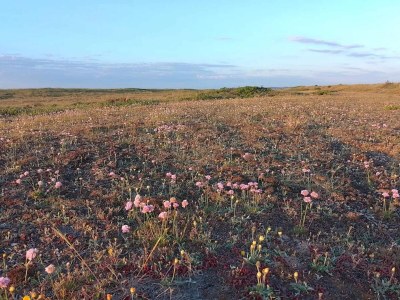 Holiday house Gemutliches Strandhaus mit Spa -- By Traum Ferienwohnungen - Outdoor photo 19