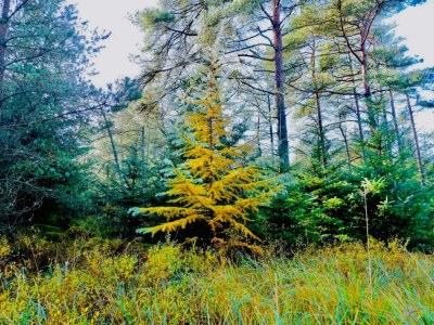 Holiday house Gemutliches Strandhaus mit Spa -- By Traum Ferienwohnungen - Outdoor photo 20