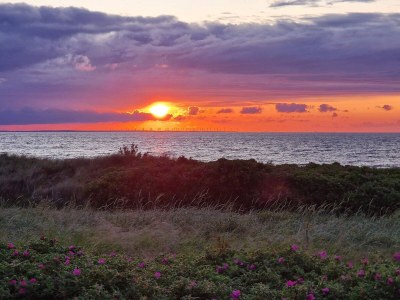 Holiday house 8 person holiday home in Glesborg-By Traum - Outdoor photo 31