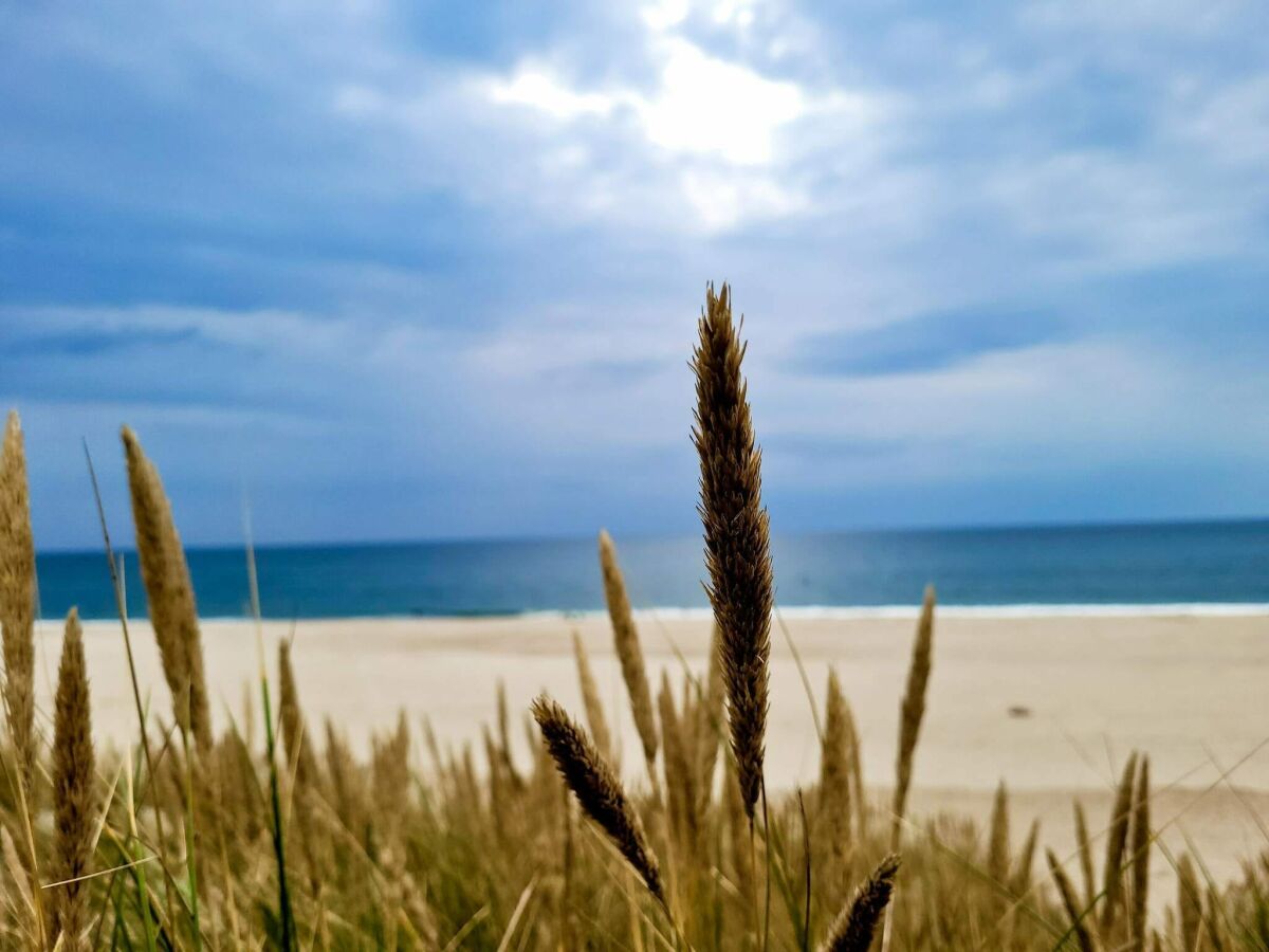 Holiday house Strand-Ruckzug mit Sauna -- By Traum Ferienwohnungen - Outdoor photo 3