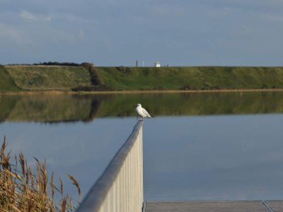 Holiday house Strand-Ruckzug mit Sauna -- By Traum Ferienwohnungen - Outdoor photo 9