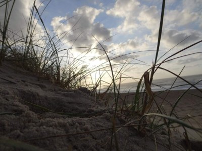 Holiday house Strand-Ruckzug mit Sauna -- By Traum Ferienwohnungen - Outdoor photo 13