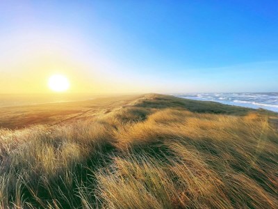 Holiday house Strand-Ruckzug mit Sauna -- By Traum Ferienwohnungen - Outdoor photo 25