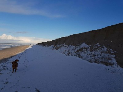 Holiday house Strand-Ruckzug mit Sauna -- By Traum Ferienwohnungen - Outdoor photo 26