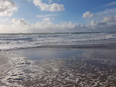 Holiday house Strand-Ruckzug mit Sauna -- By Traum Ferienwohnungen - Outdoor photo 33