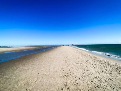 Holiday house 4 person holiday home in Skagen-By Traum - Outdoor photo 17