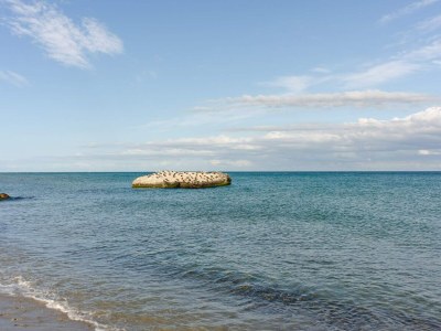 Holiday house 4 person holiday home in Skagen-By Traum - Outdoor photo 19