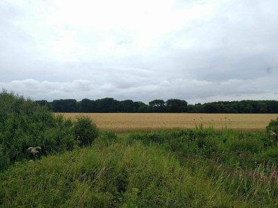 Holiday house Strandschonheit in Hasmark -- By Traum Ferienwohnungen - Outdoor photo 5