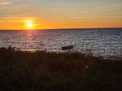 Holiday house Natur-Ruckzug am Strand -- By Traum Ferienwohnungen - Outdoor photo 35