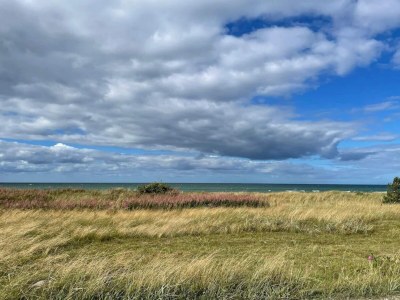Holiday house Natur-Ruckzug am Strand -- By Traum Ferienwohnungen - Outdoor photo 36