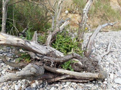 Holiday house 6 person holiday home in Haderslev-By Traum - Outdoor photo 36