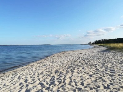 Holiday house 12 person holiday home in Egå-By Traum - Outdoor photo 38