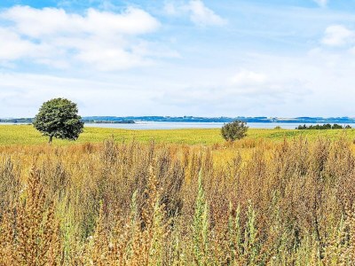 Apartment 6 Personen Ferienhaus in Faaborg-By Traum - Outdoor photo 10
