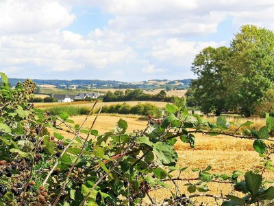 Apartment 6 Personen Ferienhaus in Faaborg-By Traum - Outdoor photo 26