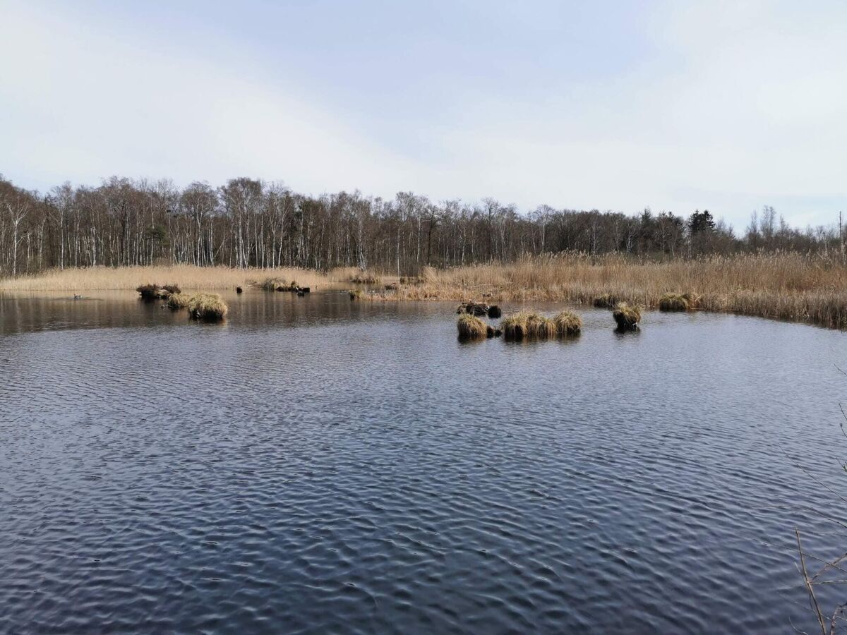 Holiday house 6 person holiday home in Stubbekøbing-By Traum - Outdoor photo 3