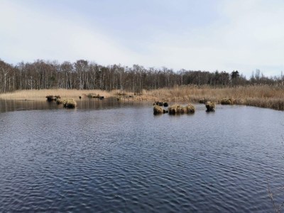 Holiday house 6 person holiday home in Stubbekøbing-By Traum - Outdoor photo 3