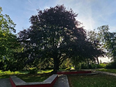 Holiday house 6 person holiday home in Stubbekøbing-By Traum - Outdoor photo 15