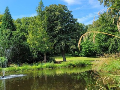 Holiday house 6 person holiday home in Stubbekøbing-By Traum - Outdoor photo 36